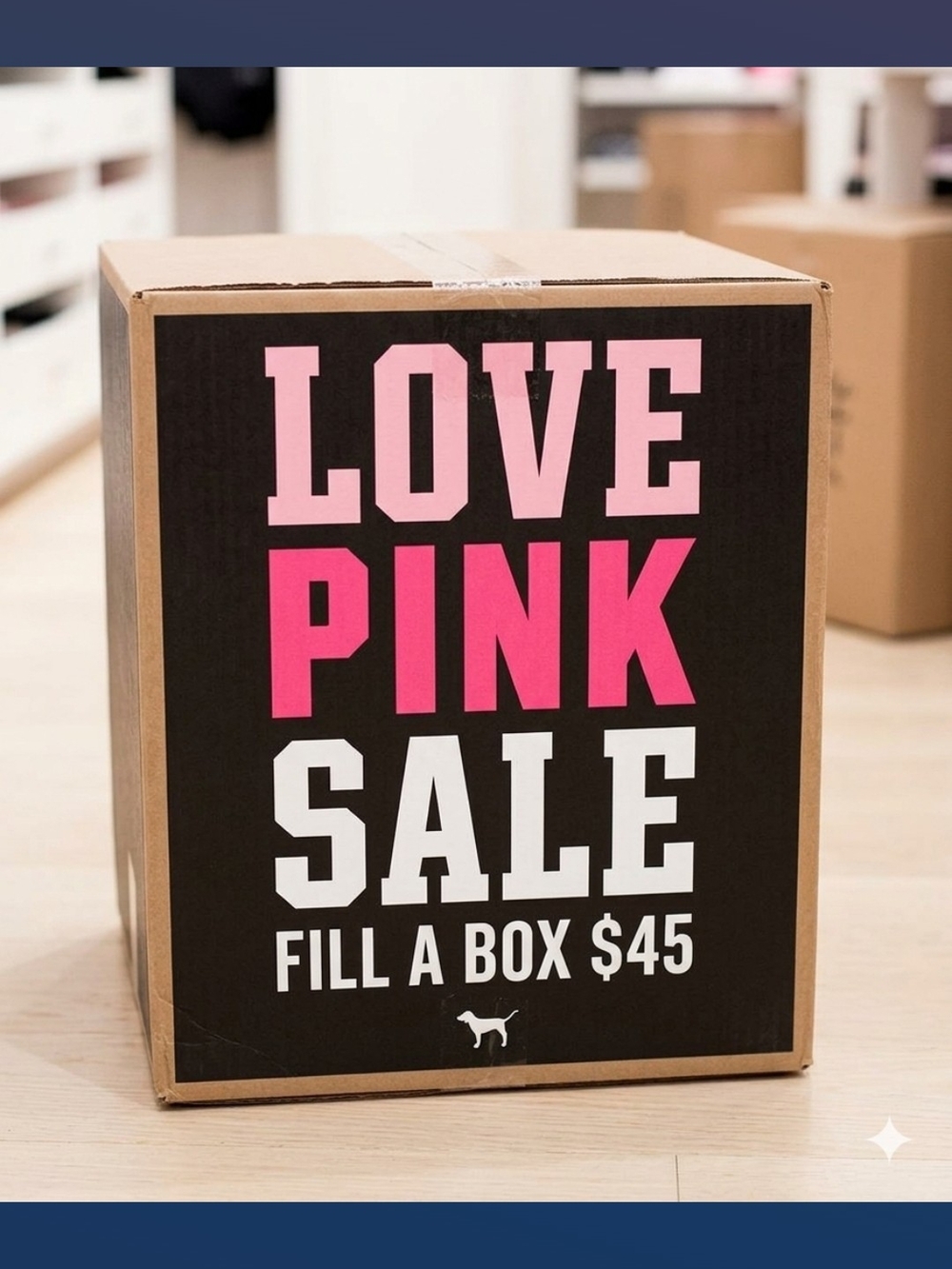 Love Pink Fill A Box